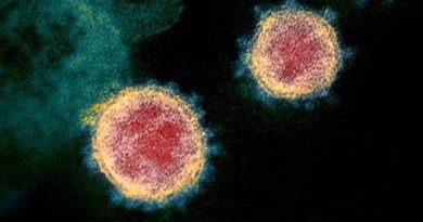 Los efectos en el cerebro del coronavirus pueden producir covid-19 persistente