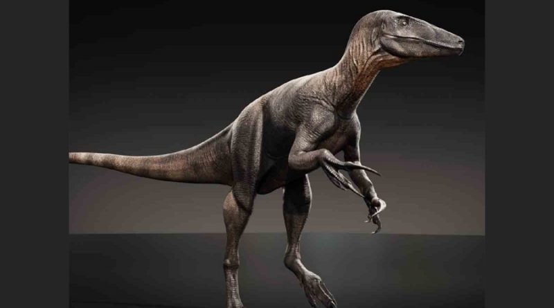 Encuentran los restos de un megaraptor de casi 10 metros de largo