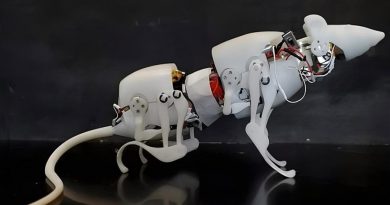 Científicos crean la primera rata robot: se mueve igual que las reales y se llama SquRo
