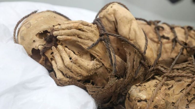 Descubren antiguo manual que revela secretos de momias egipcias