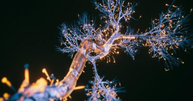 Descubren el tipo específico de neuronas que mueren en la enfermedad de Parkinson