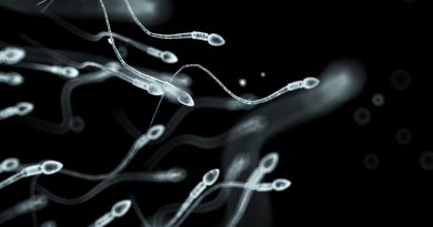 Según la ciencia, las mujeres podrían reproducirse sin hombres en el futuro