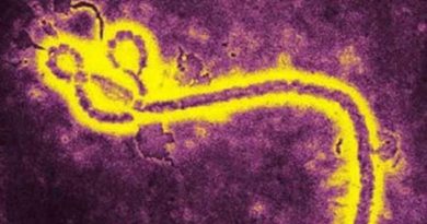 Aíslan en una cueva de Asturias a Lloviu, el virus pariente del ébola
