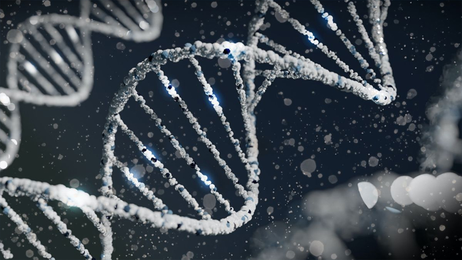 Un misterioso ADN revoluciona la edición de genes humanos