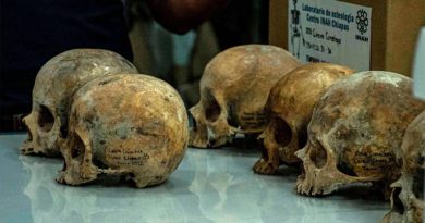 Descubren 150 cráneos de un posible altar maya en el sur de México