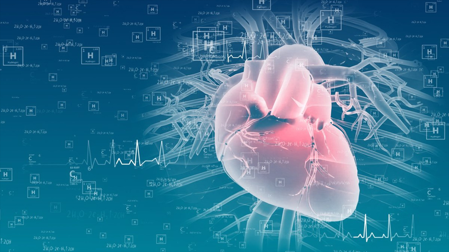 Las células progenitoras cardíacas pueden generar tejido sano tras un infarto