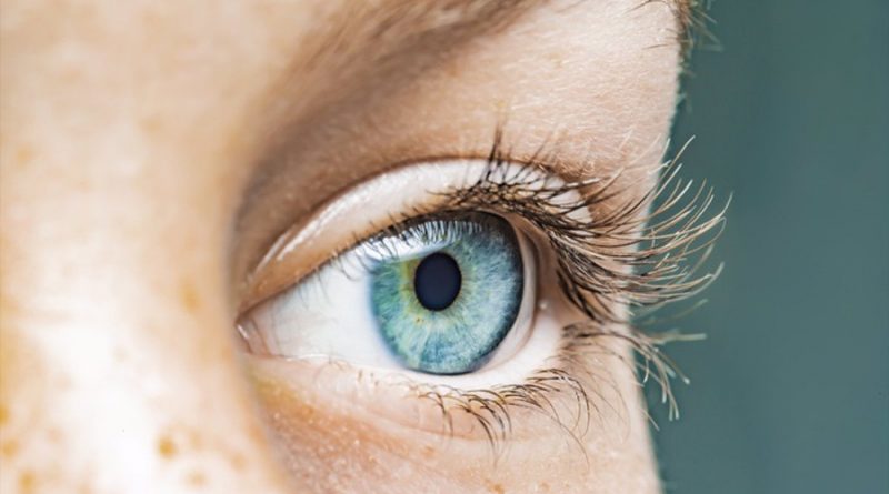 Reviven las células sensoras de la luz en ojos de donantes de órganos
