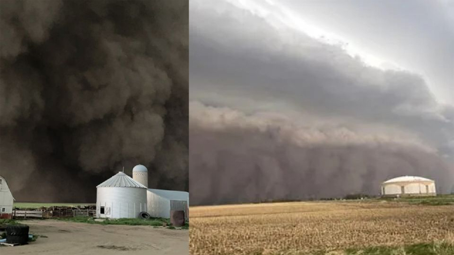 Una científica mexicana murió en Minnesota al cazar una tormenta extrema