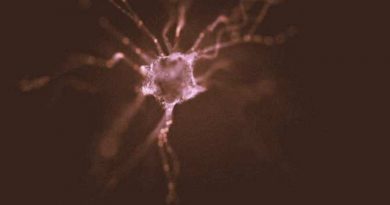 Creación artificial de neuronas a partir de otras células, ¿una cura para el Mal de Parkinson?