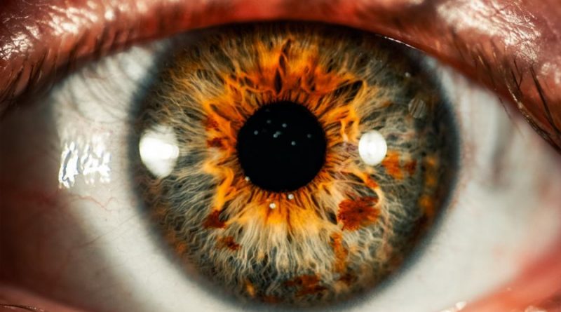 Los científicos consiguen restaurar momentáneamente la actividad de un ojo humano tras la muerte