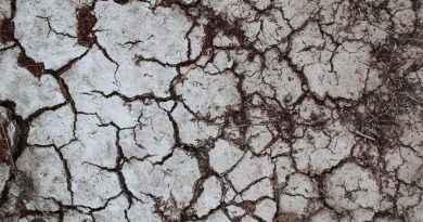 Experto de la UNAM alerta por “severísima” sequía en gran parte de México