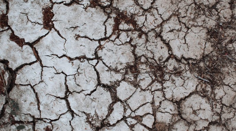 Experto de la UNAM alerta por “severísima” sequía en gran parte de México