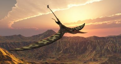 Así fue el Dragón de la Muerte, el dinosaurio alado más grande que dominó América Latina
