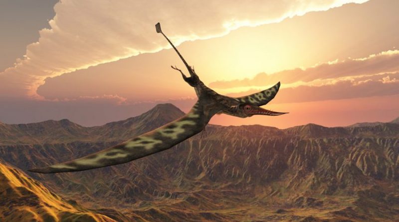Así fue el Dragón de la Muerte, el dinosaurio alado más grande que dominó  América Latina - INVDES