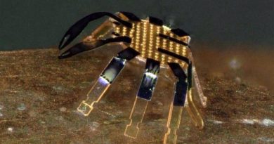 El robot andante más pequeño, de 0,5 mm, tiene forma de cangrejo