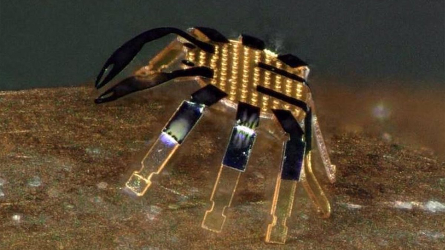 El robot andante más pequeño, de 0,5 mm, tiene forma de cangrejo