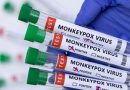 Investigadores españoles obtienen la secuencia completa del genoma de la viruela del mono