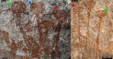 Descubren figuras antropomórficas con extrañas cabezas gigantes en un sitio de arte rupestre