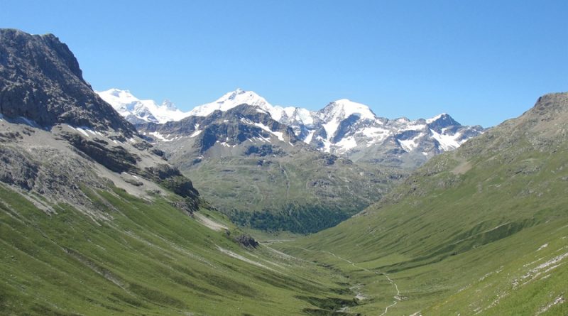Reverdecimiento de los Alpes, signo del impacto del cambio climático