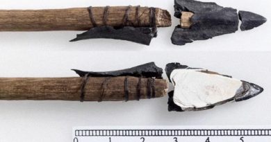 Artefactos de la Edad de Bronce emergen en derretimiento de hielo en Noruega