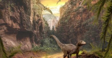 Jurassic World Domination: 5 especies de dinosaurios descubiertas en México