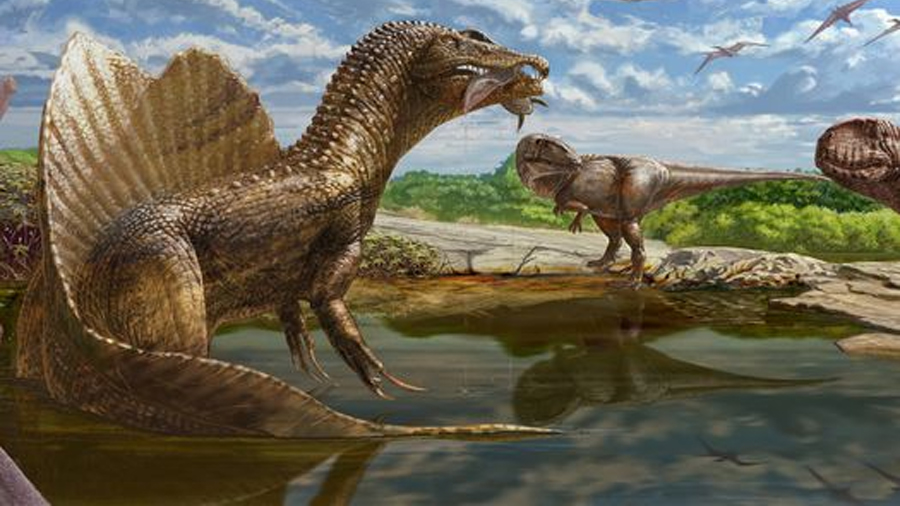 Descubren un nuevo tipo de dinosaurio carnívoro en Egipto