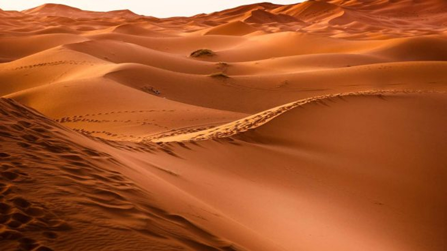 Un nuevo gel extrae agua potable del aire del desierto