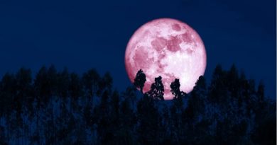 ¿Qué es y cuándo se verá la Luna de fresa en México?