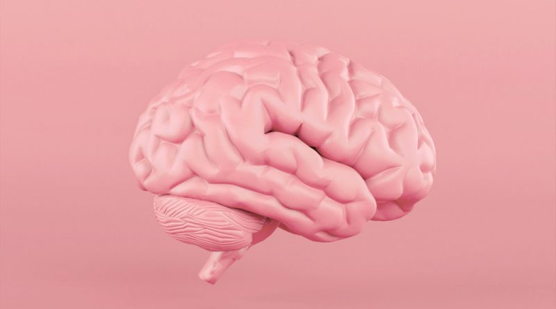 El cerebro humano sano alcanza temperaturas más altas de lo que se sospechaba