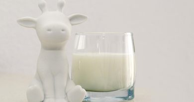 Crean una leche de vaca artificial con tecnología de cultivo de células de mamíferos