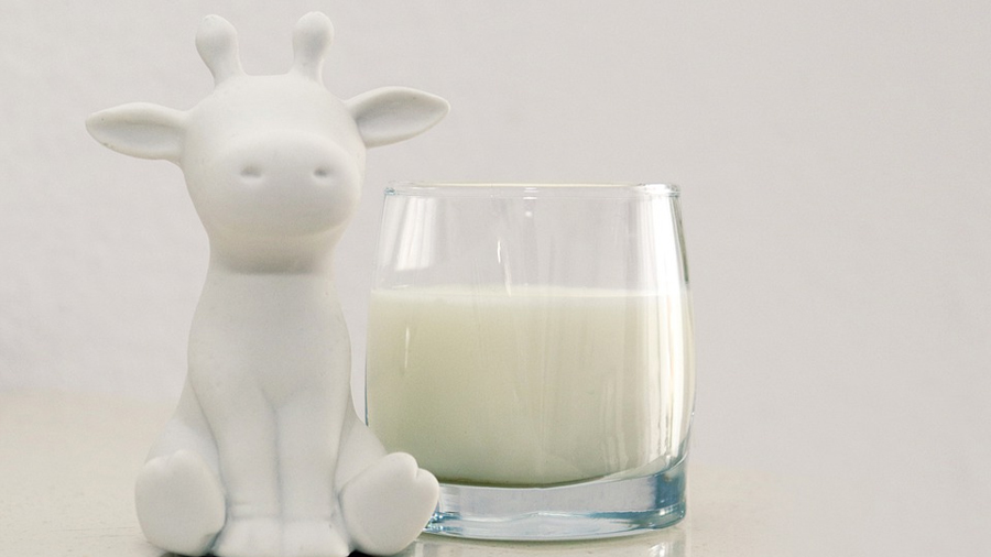 Crean una leche de vaca artificial con tecnología de cultivo de células de mamíferos