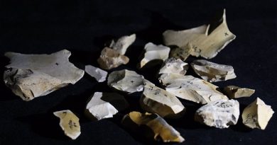 Rastros de fuego de 800,000 años en un sitio arqueológico de Israel