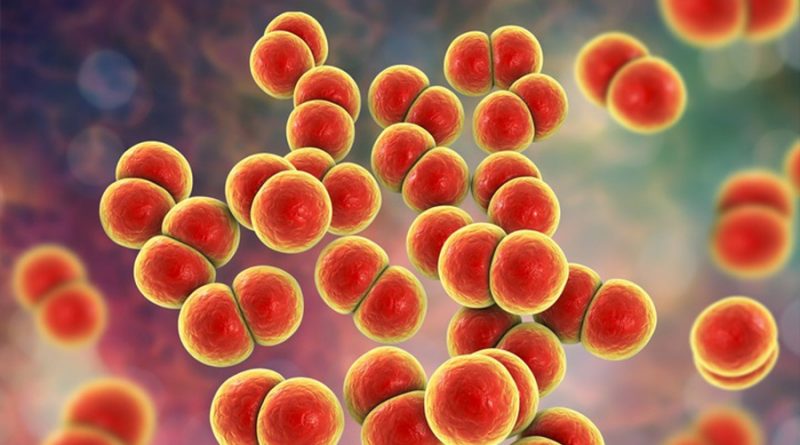 Detectada en Austria una nueva cepa de gonorrea muy resistente a los medicamentos