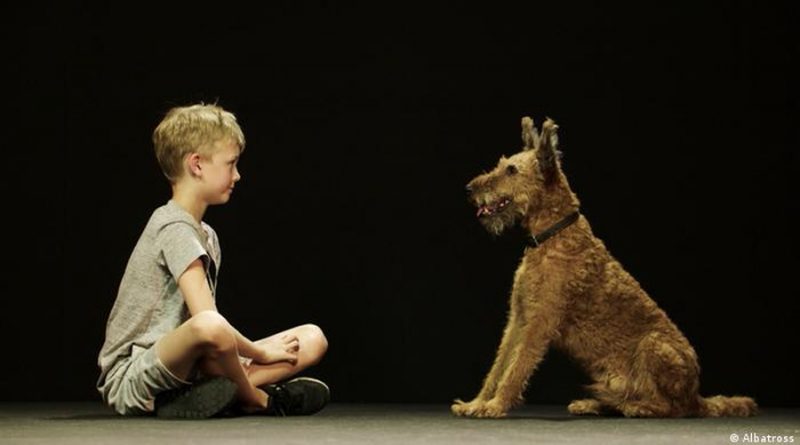 Perros regulan su comportamiento de manera similar a como lo hacen los niños
