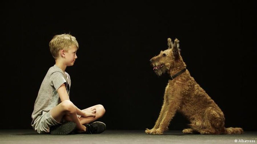 Perros regulan su comportamiento de manera similar a como lo hacen los niños