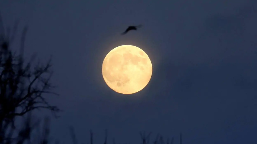 China halla restos de agua autóctona en la superficie de la Luna