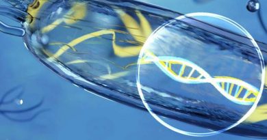 ADN ambiental detecta nuevas bacterias y productos naturales marinos