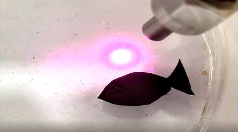 Un diminuto robot con forma de pez que 'nada' recogiendo microplásticos