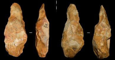 Descubren en Inglaterra herramientas usadas por humanos hace 620,000 años