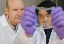 Científicos desarrollan dos versiones de piel electrónica que imitan a la epidermis humana
