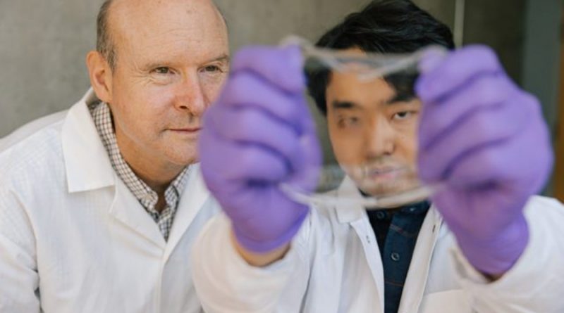 Científicos desarrollan dos versiones de piel electrónica que imitan a la epidermis humana