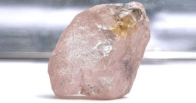 Desentierran diamante rosa en Angola que se cree que es el mayor visto en 300 años