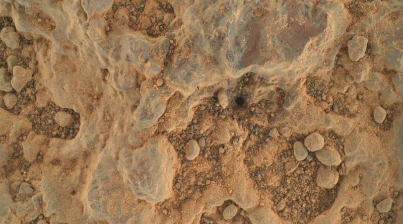 ¿Piel de serpiente en Marte? Misterioso hallazgo del Perserverance