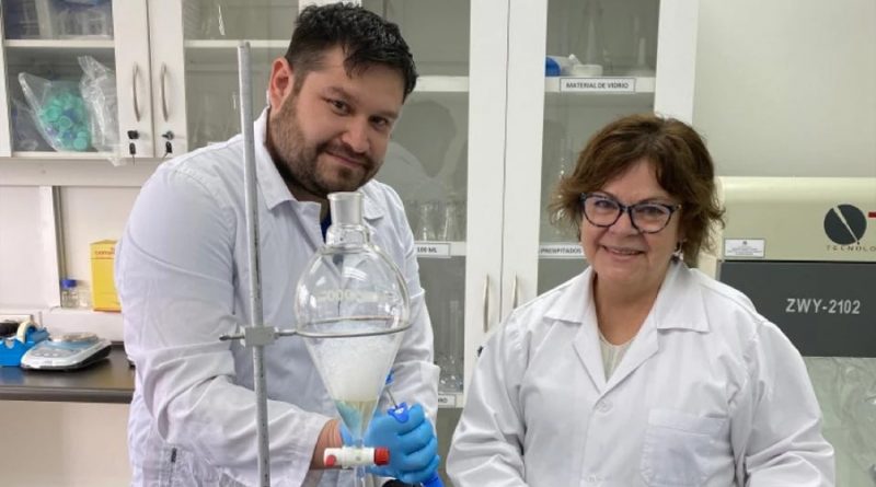 Descubren potencial biotécnico de bacteria antártica que produce un detergente biológico