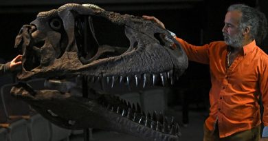 Descubren en Argentina una nueva especie de dinosaurio con brazos pequeños como el T. rex