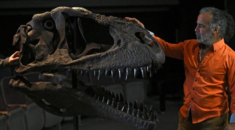 Descubren en Argentina una nueva especie de dinosaurio con brazos pequeños como el T. rex