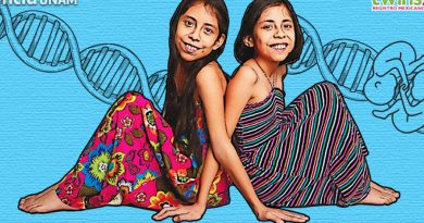 Estudian cerebros de gemelos mexicanos para investigación genética