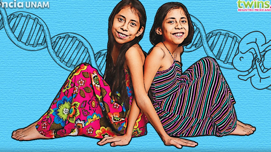 Estudian cerebros de gemelos mexicanos para investigación genética
