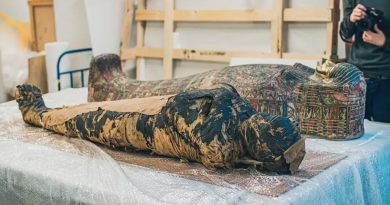 La primera momia egipcia embarazada conocida murió de cáncer