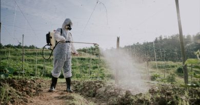 La orina humana podría reemplazar los fertilizantes químicos